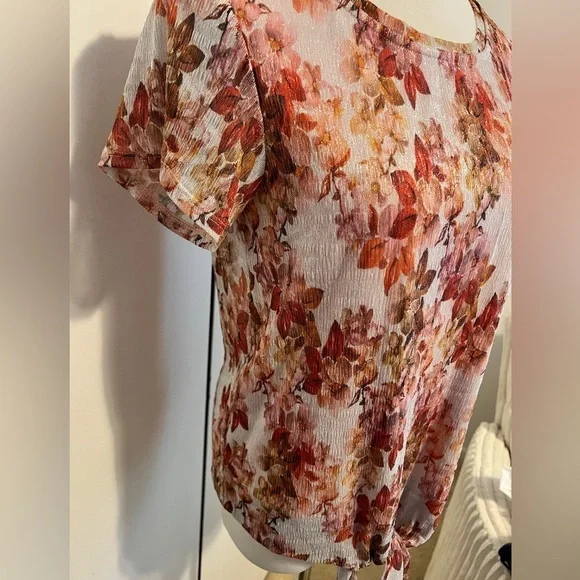 Anthropologie NWOT Eva Franco Top - Picture 4 of 8